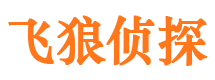 朝天市婚姻调查